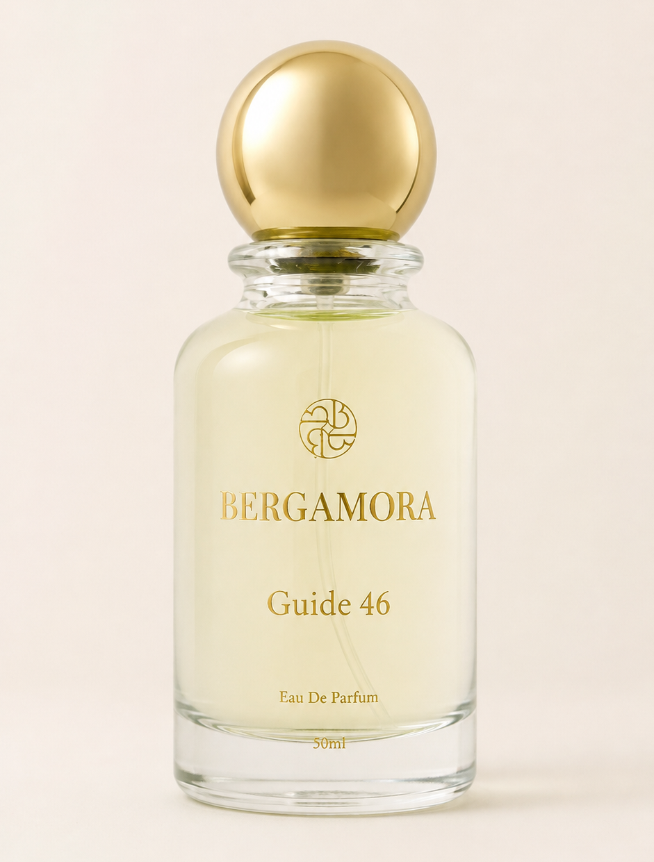 Guide 46